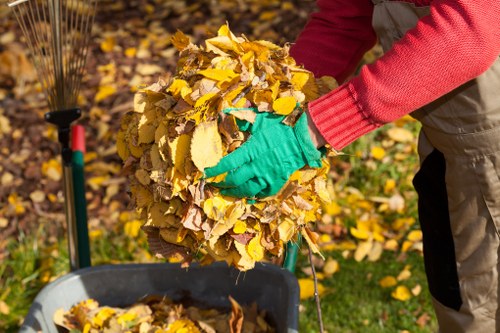Trash collection service supporting clean residential streets in Roehampton