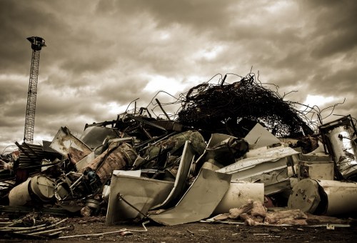 Professional garden waste removal and trimming in Roehampton